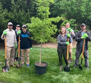 Tree Planting