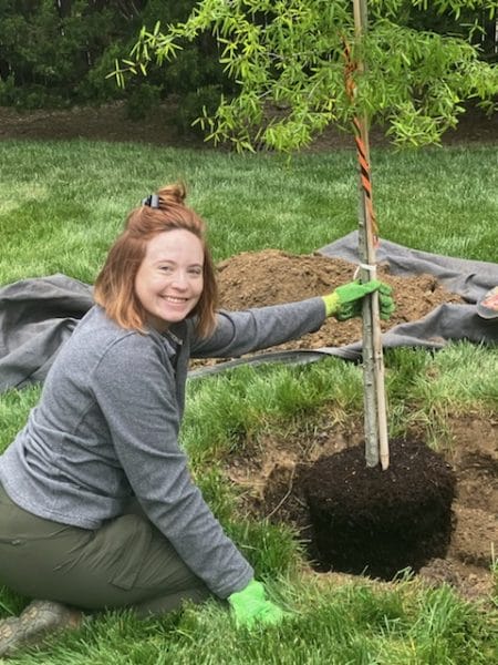Tree Planting