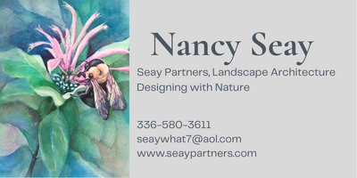 Nancy Logo