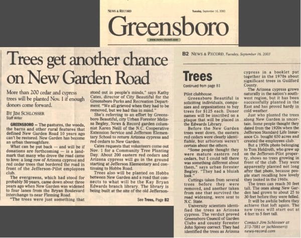Trees have always been the answer Trees have always been the answer