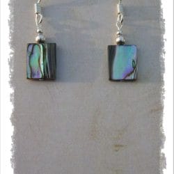abalone e